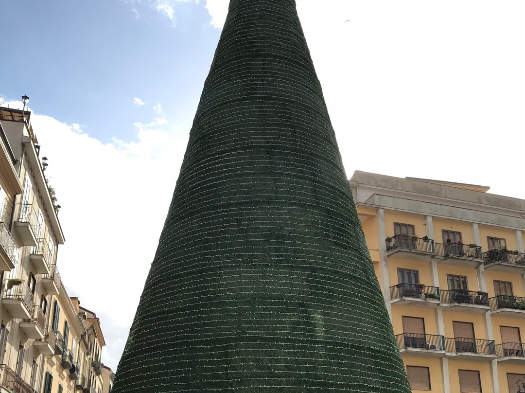 Piazza del Duomo景点图片