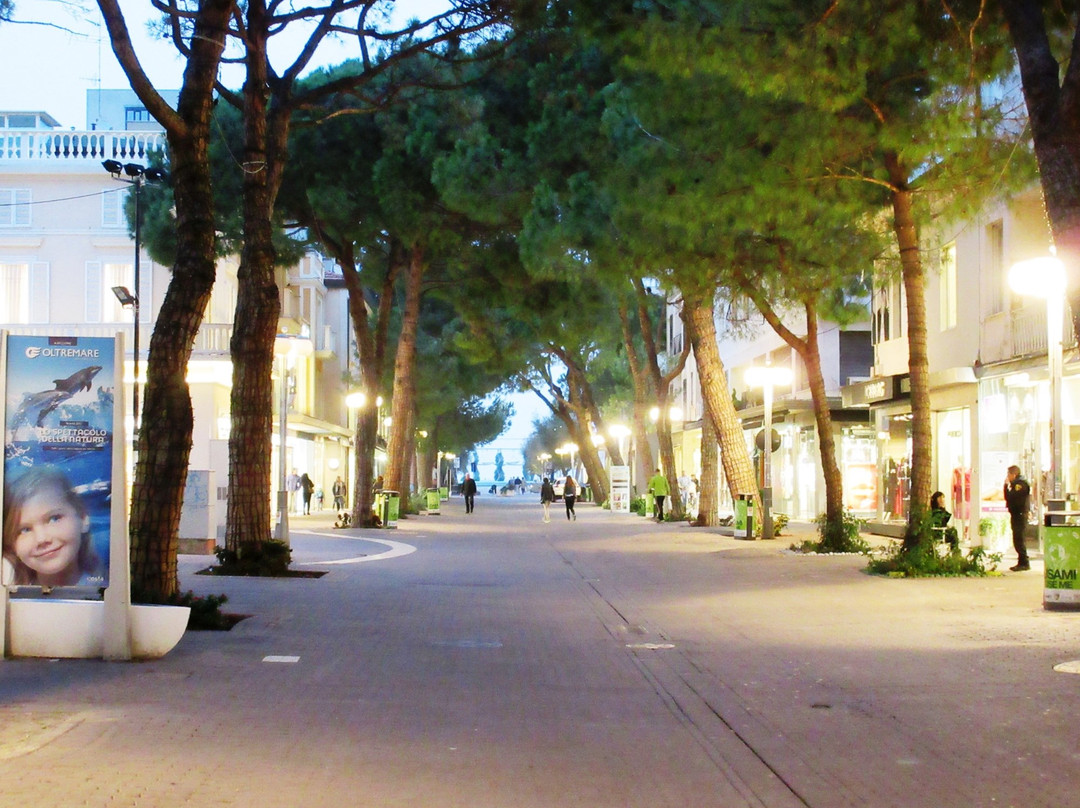 Viale Ceccarini景点图片