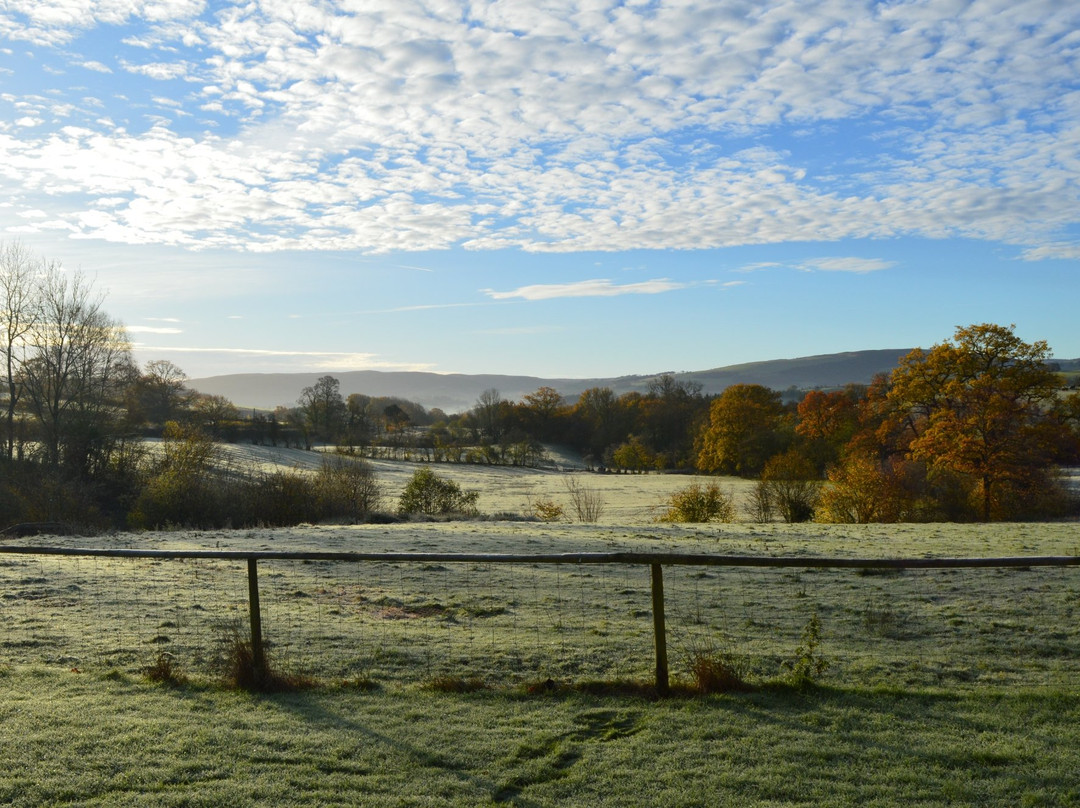 Builth Wells酒店住宿-Smithfield Farm B&B