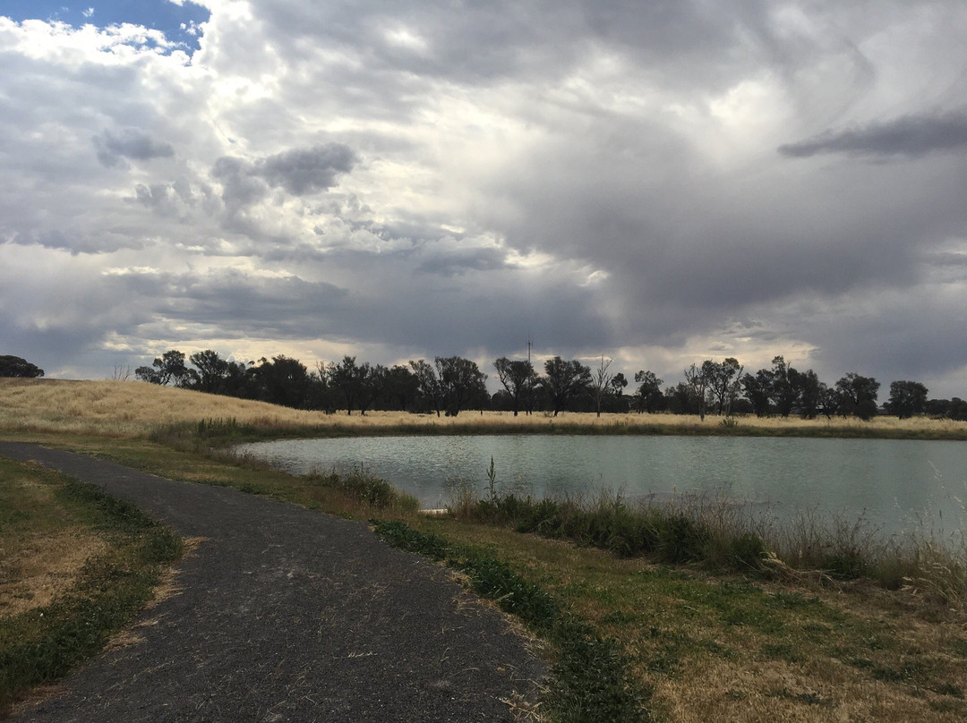 Minyip Wetlands
