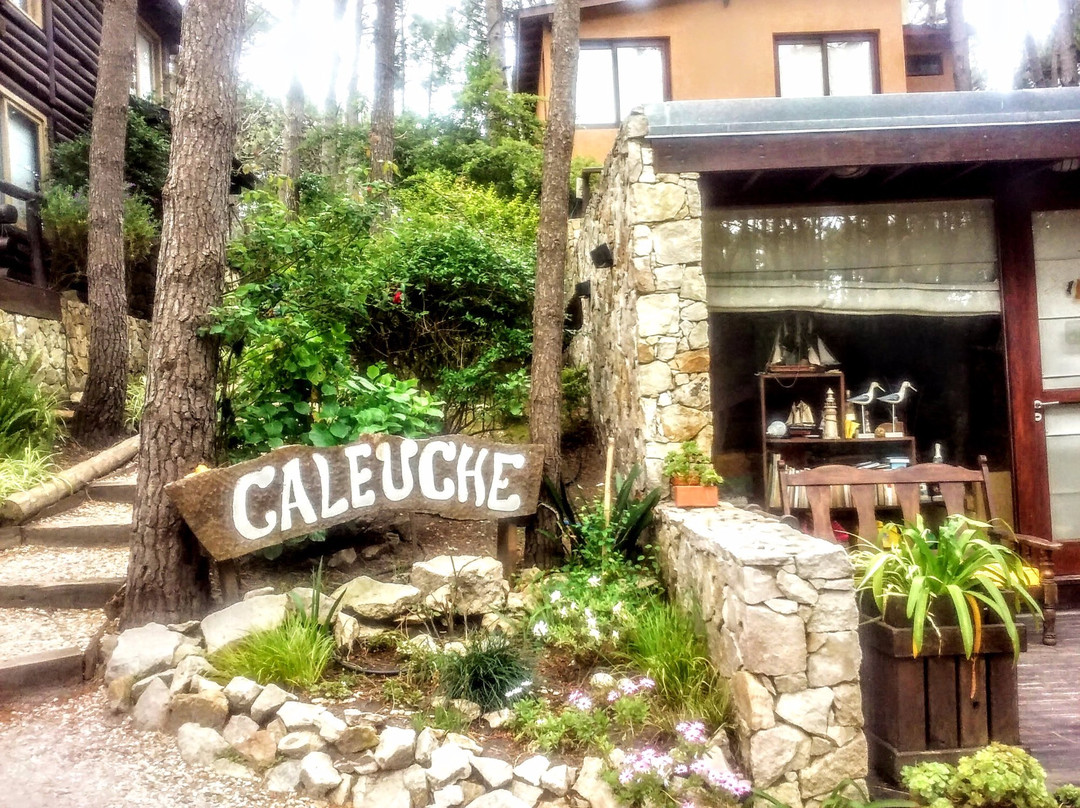 Cabanas Caleuche