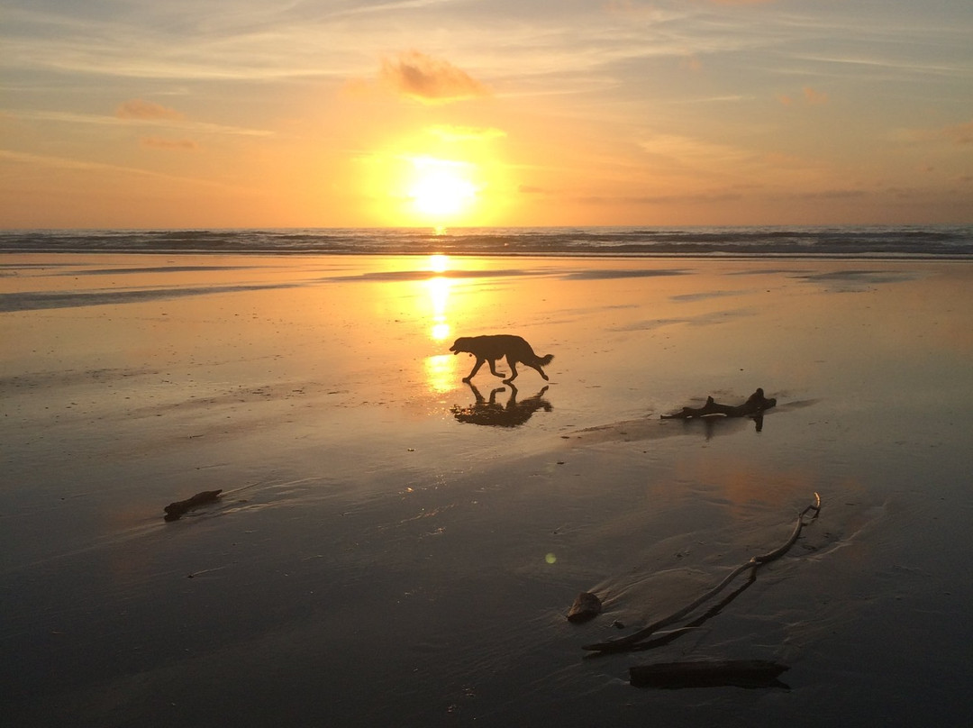 Waitarere旅游攻略图片