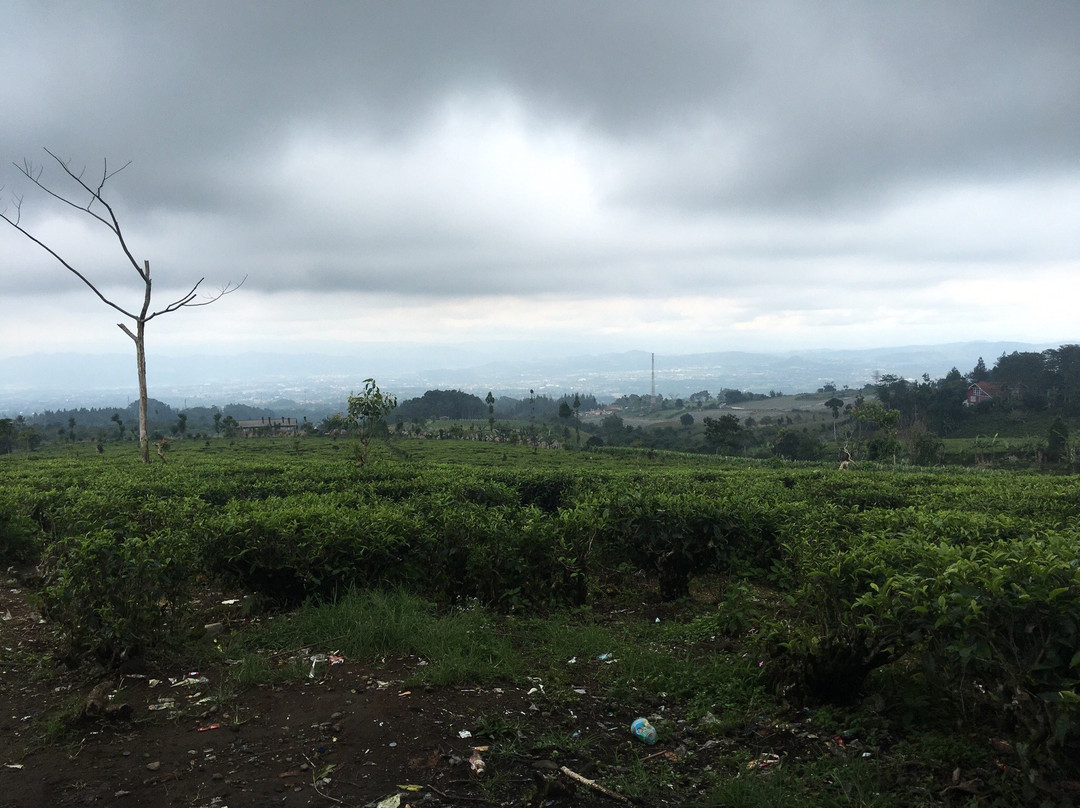 Pondok Halimun-苏加武眉必去景点