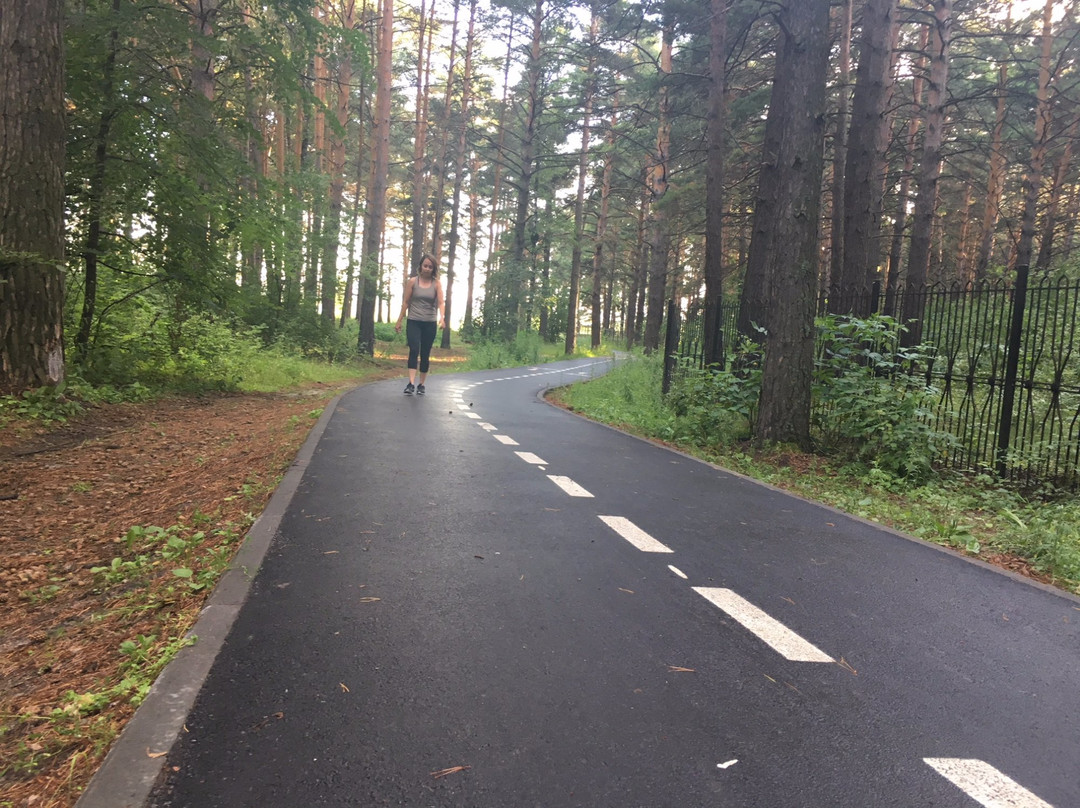 Forest Park of Gagarin-秋明必去景点