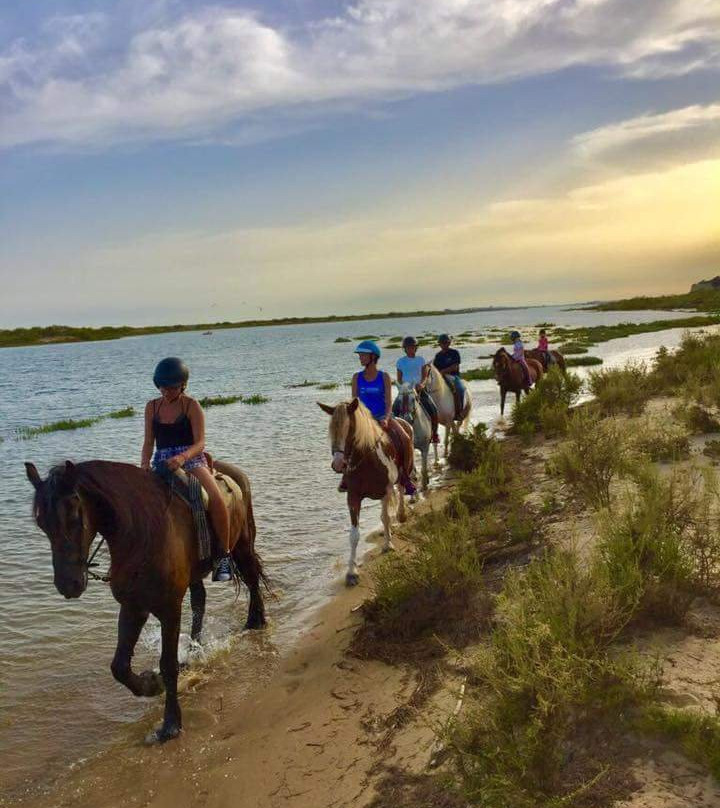 Tavira Equestrian Tourism-塔维拉必去景点