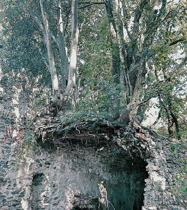 Monumento Naturale di Galeria Antica景点图片