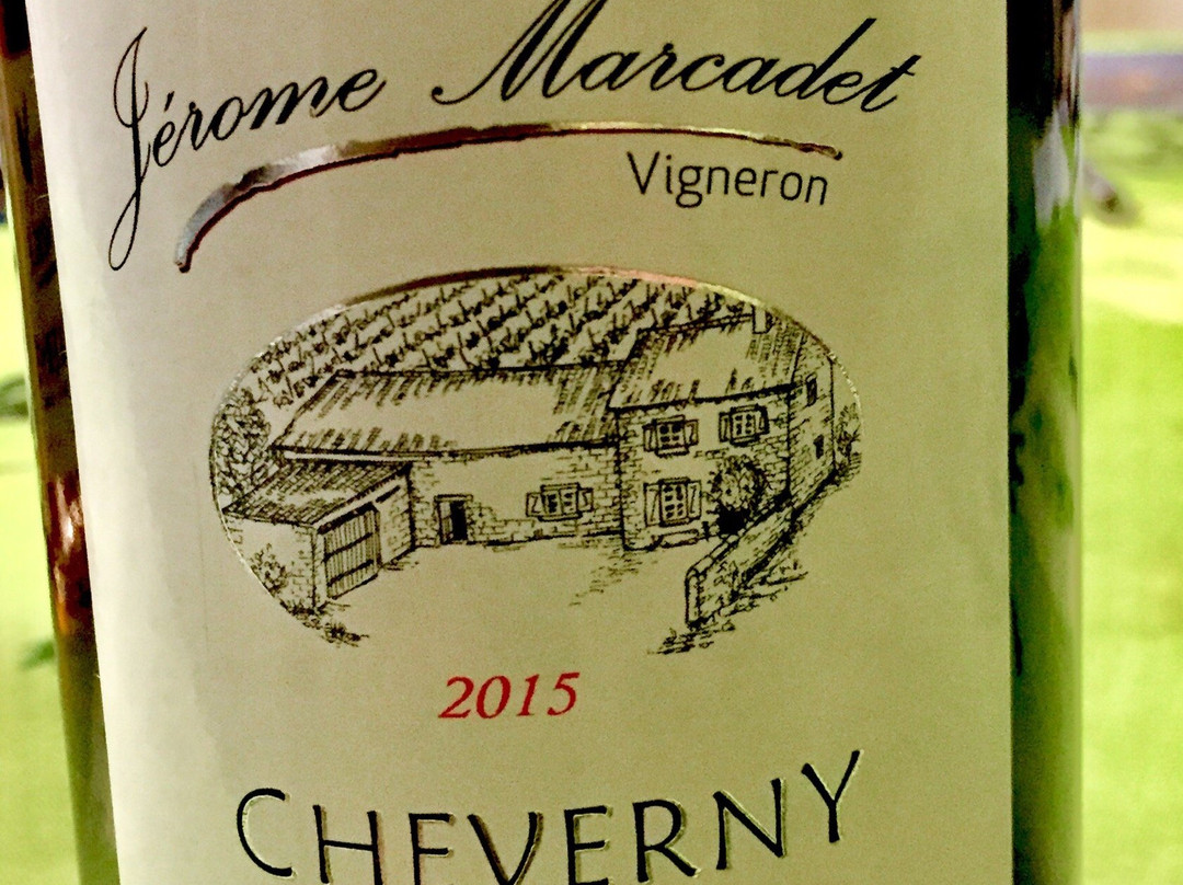 Maison des Vins Chambord景点图片