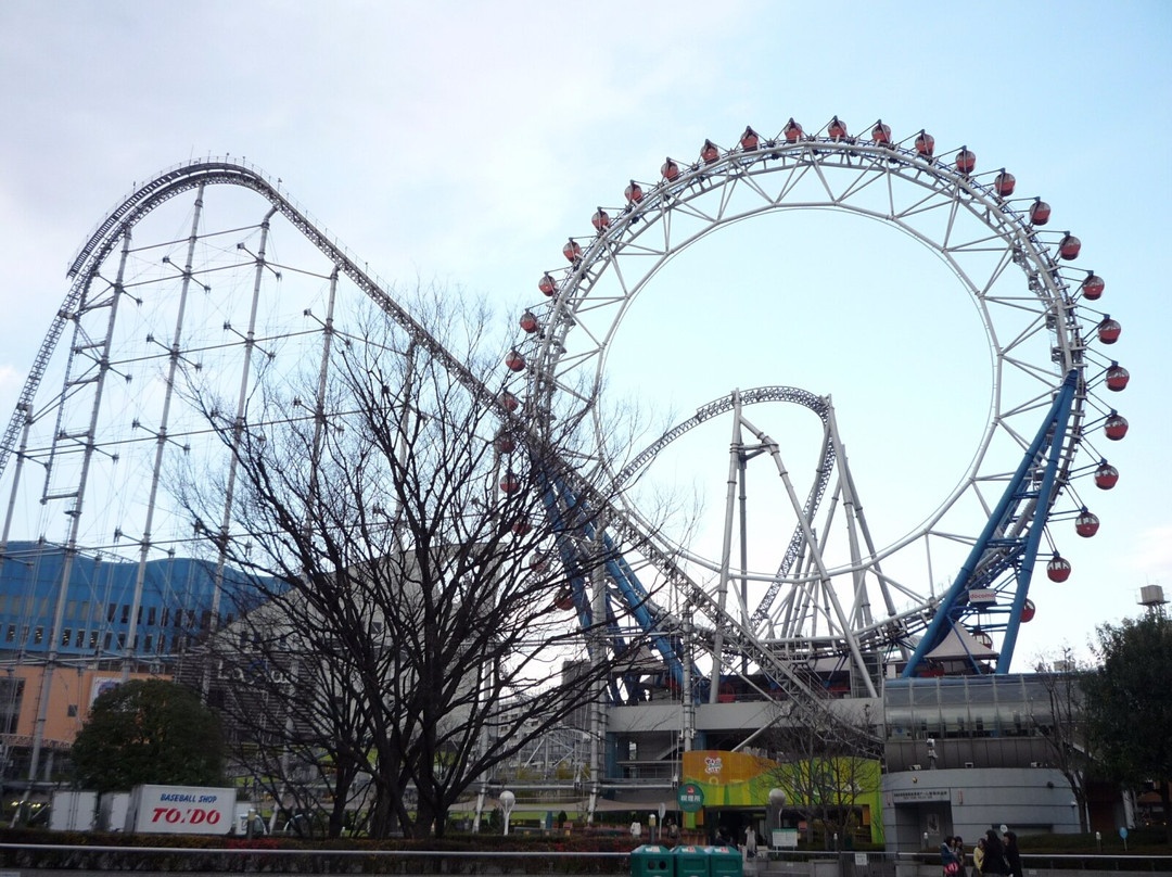 Tokyo Dome City Attractions景点图片