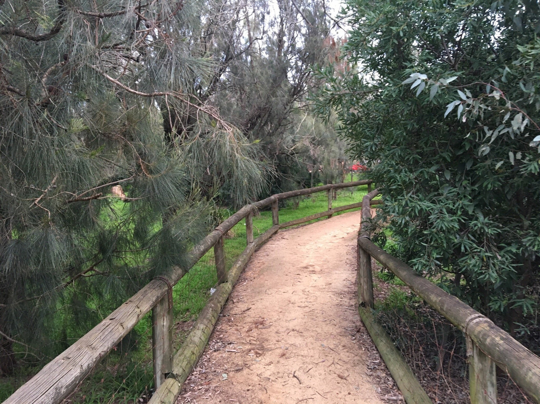 Casuarina Forest Reserve-Endeavour Hills必去景点
