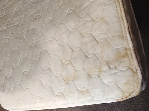 Candlewood Suites 大草原 - 阿灵顿主图