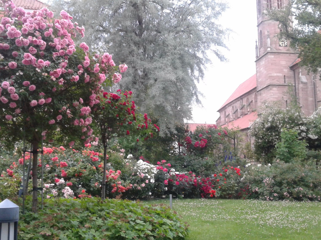 Literaturmuseum Theodor Storm-Heilbad Heiligenstadt必去景点