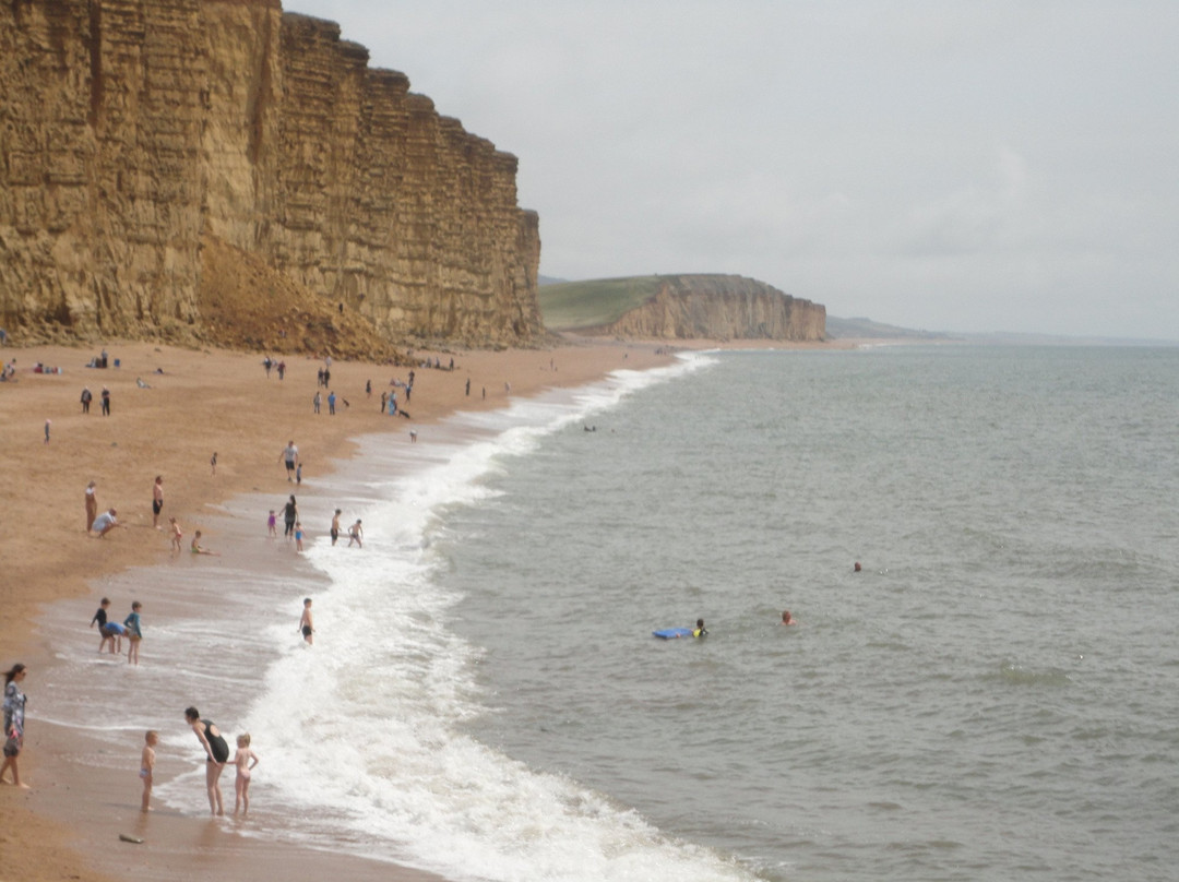 West Bay Charters景点图片