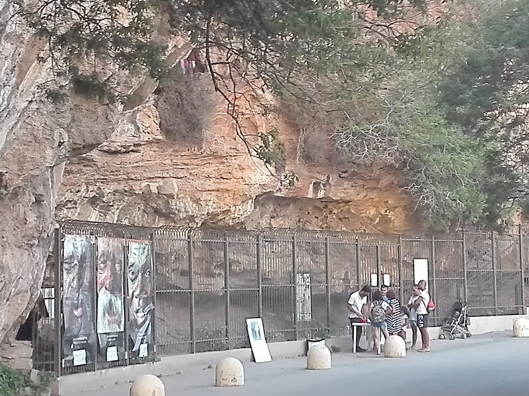 Grotta Preistorica della Cala景点图片