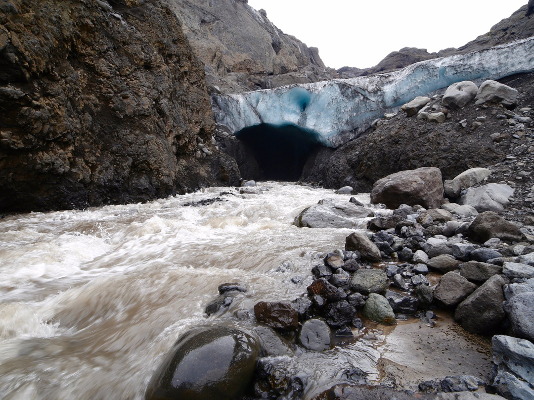MudShark Tours-海拉必去景点
