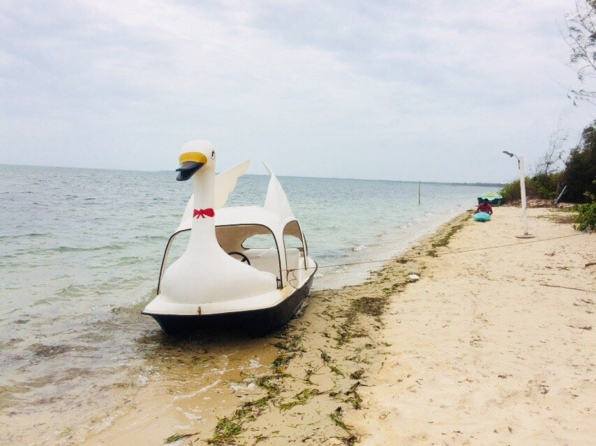 Treat Ooo Jaffna-泳池