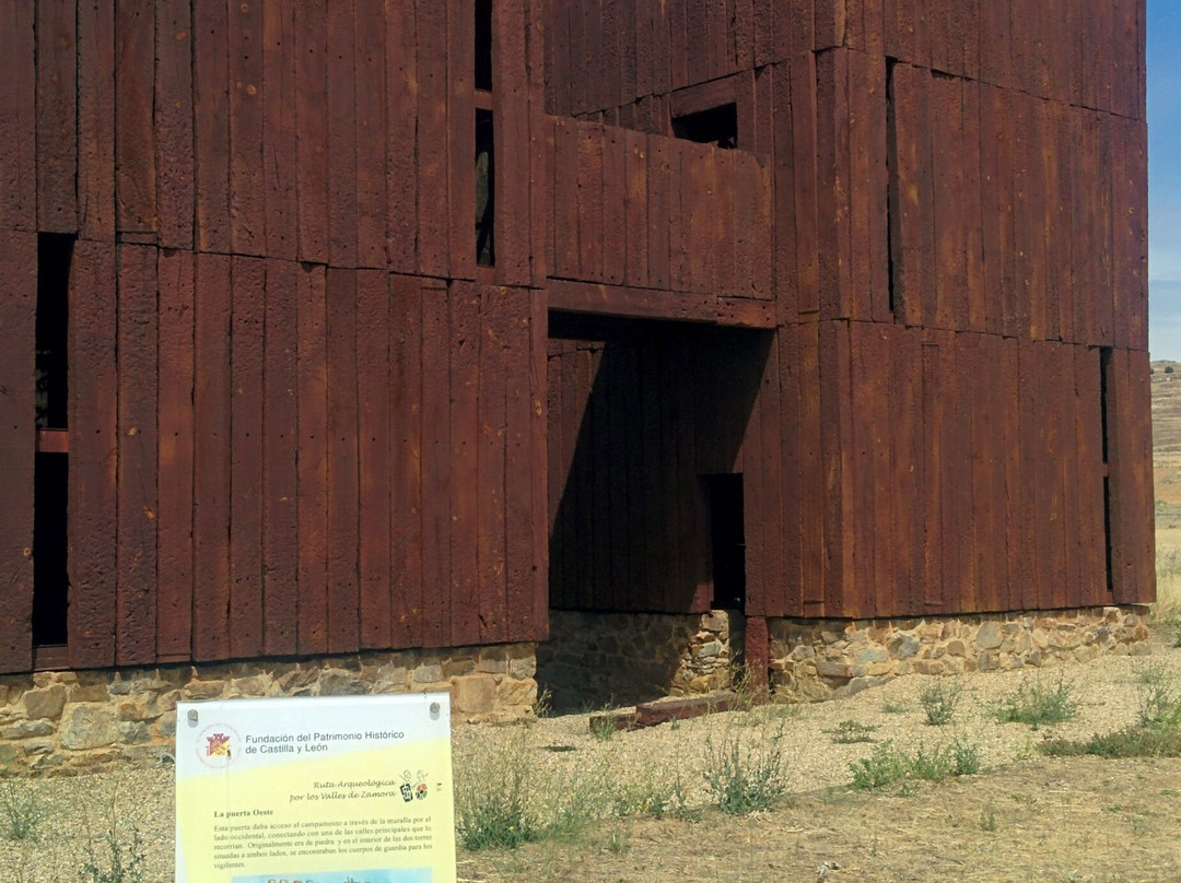 Campamento romano Petavonium景点图片