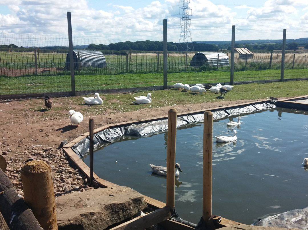 Oak Tree Farm-Stonnall必去景点