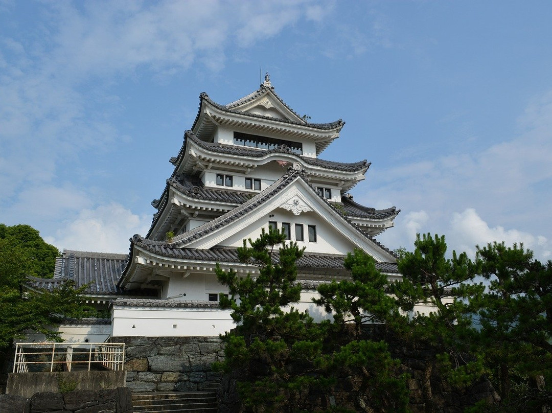 吉野川市旅游景点-Kawashima Castle
