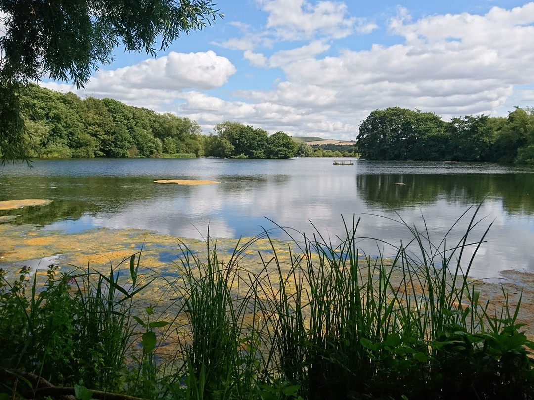 Coate Water Country Park景点图片