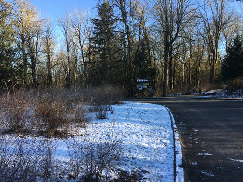 Soaring Eagle Park-Sammamish必去景点