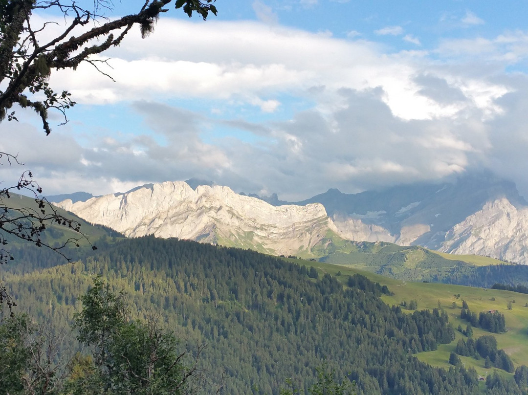 Golf Club Villars-威拉尔-苏-罗伦必去景点