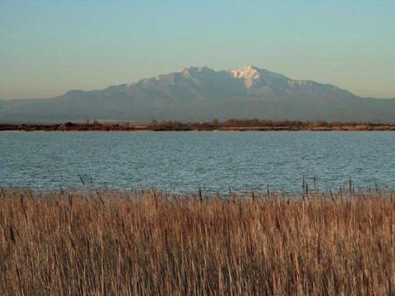 Étang de Canet - Saint-Nazaire.景点图片
