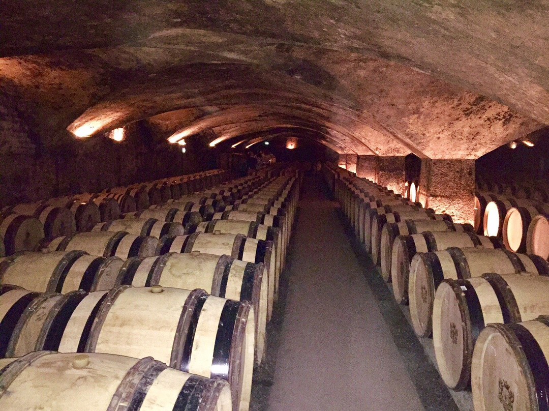 Max's Burgundy Wine Tour景点图片