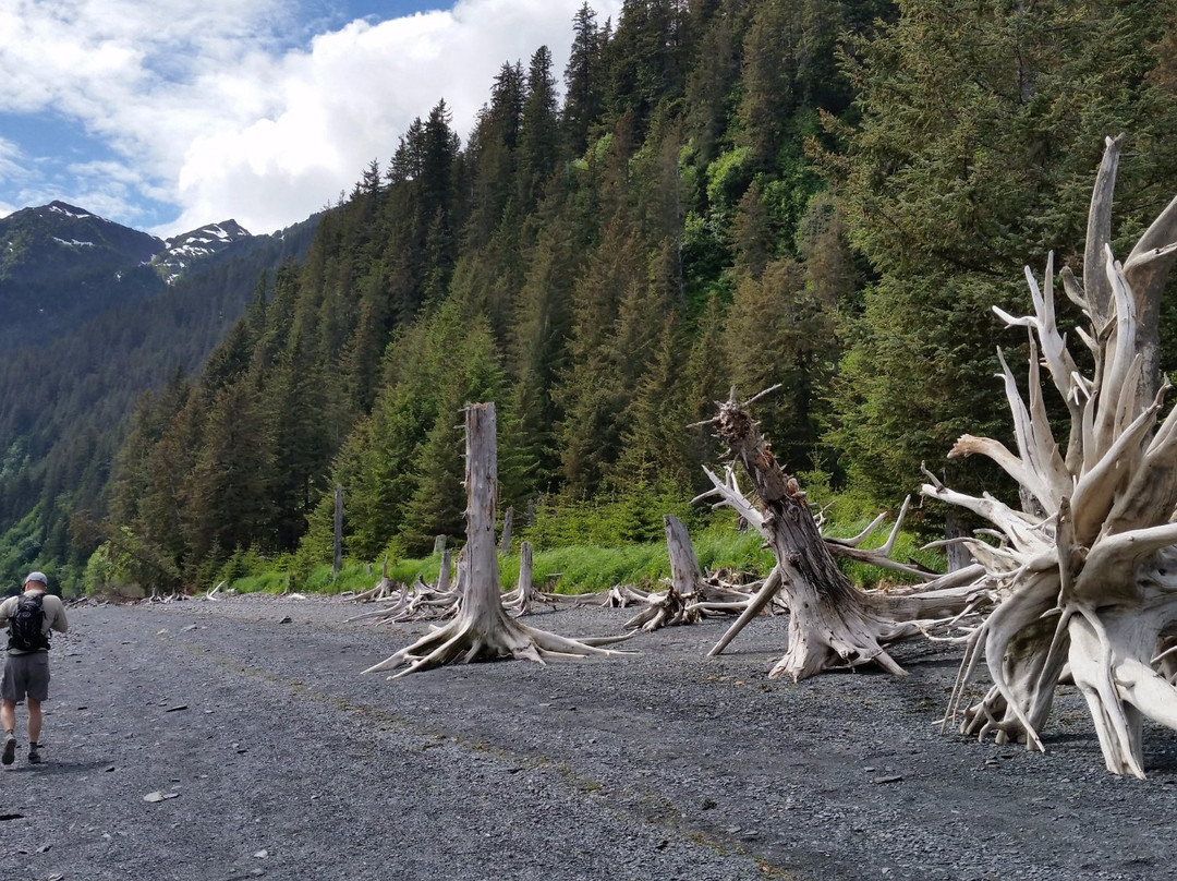 Tonsina Creek Trail-苏厄德必去景点