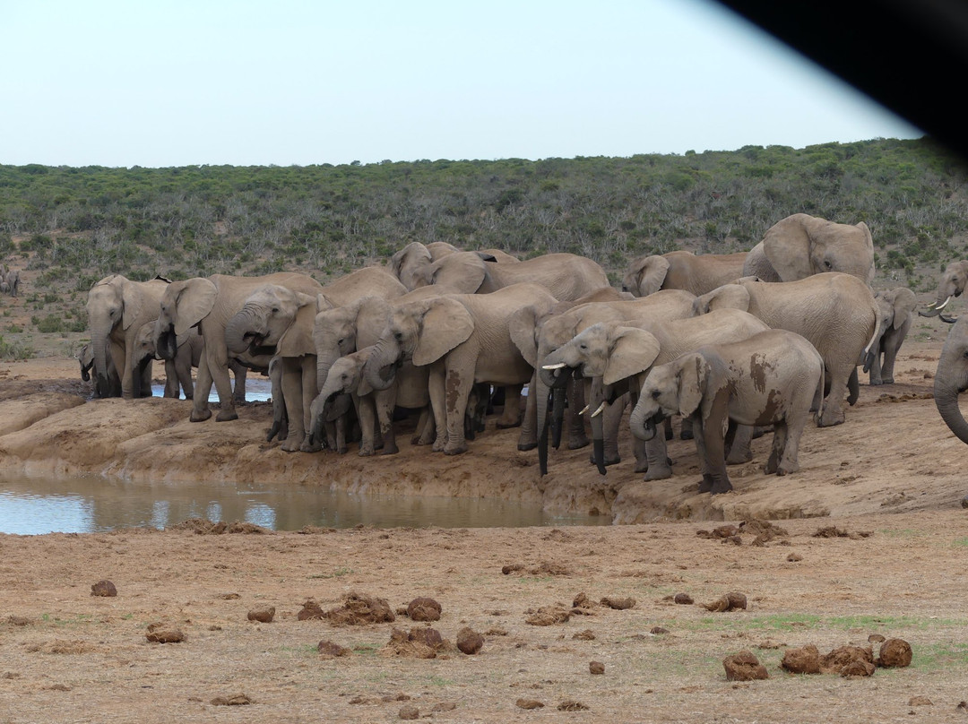 Africa Explore Safaris-开普敦必去景点