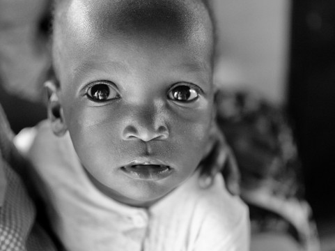 My Kenya Safari - Day Tours-蒙巴萨必去景点