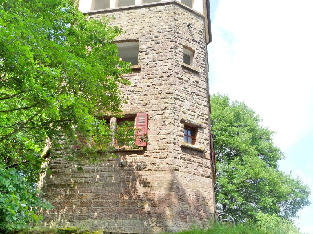 Eulenkopfturm景点图片