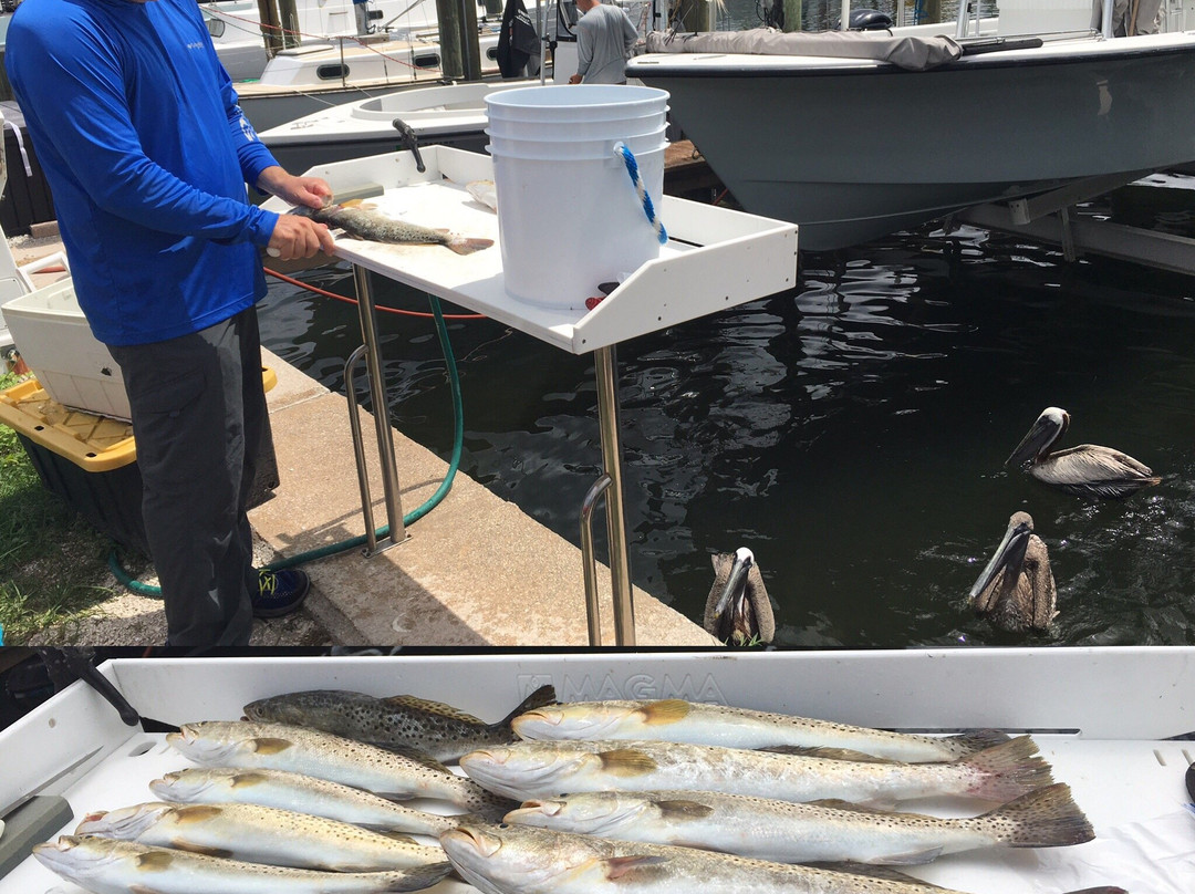 Anna Maria Inshore Fishing-布雷登顿必去景点