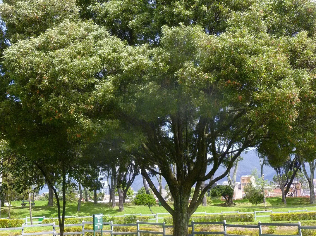 Parque El Lago-波哥大必去景点