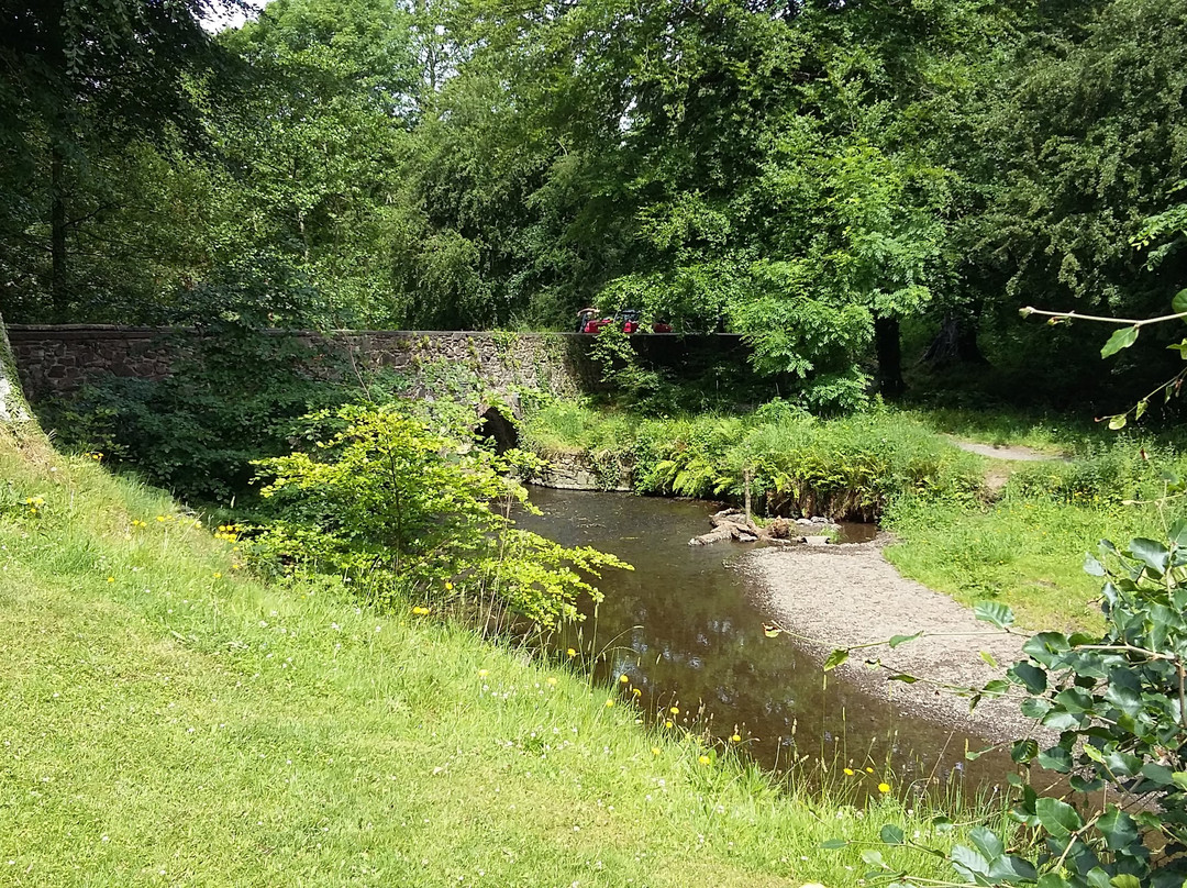 Minnowburn景点图片