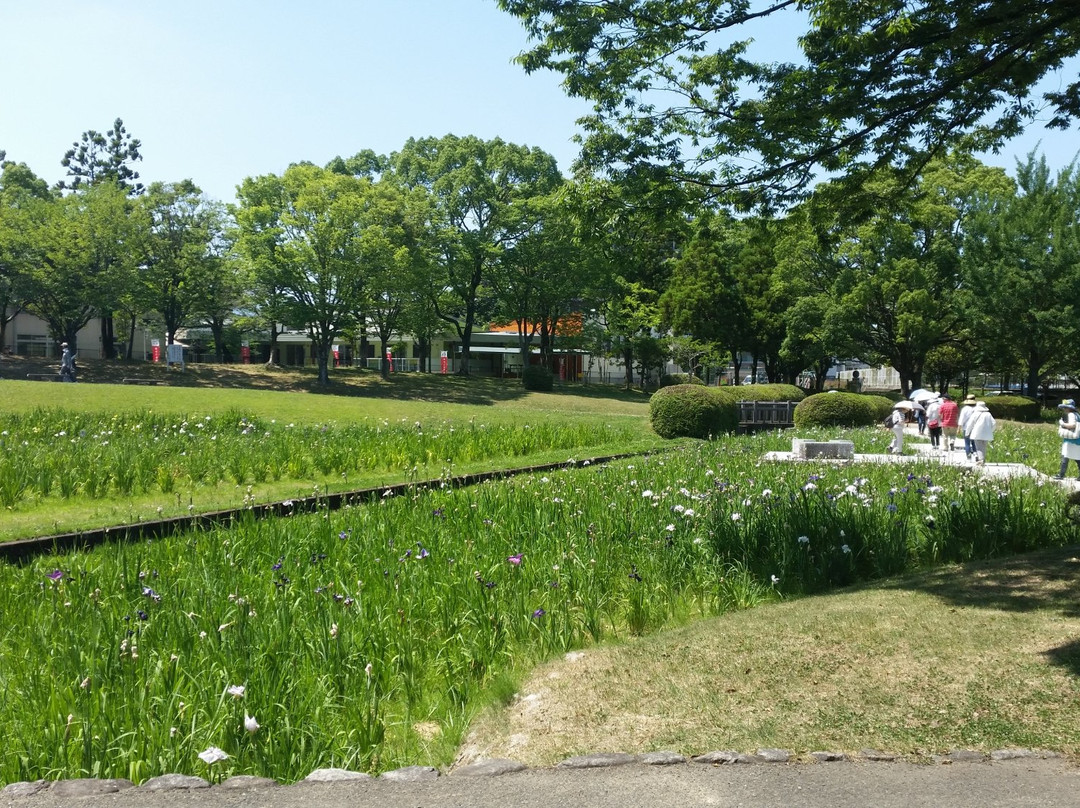 Central Park景点图片