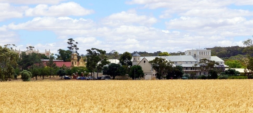 Coomberdale旅游攻略图片