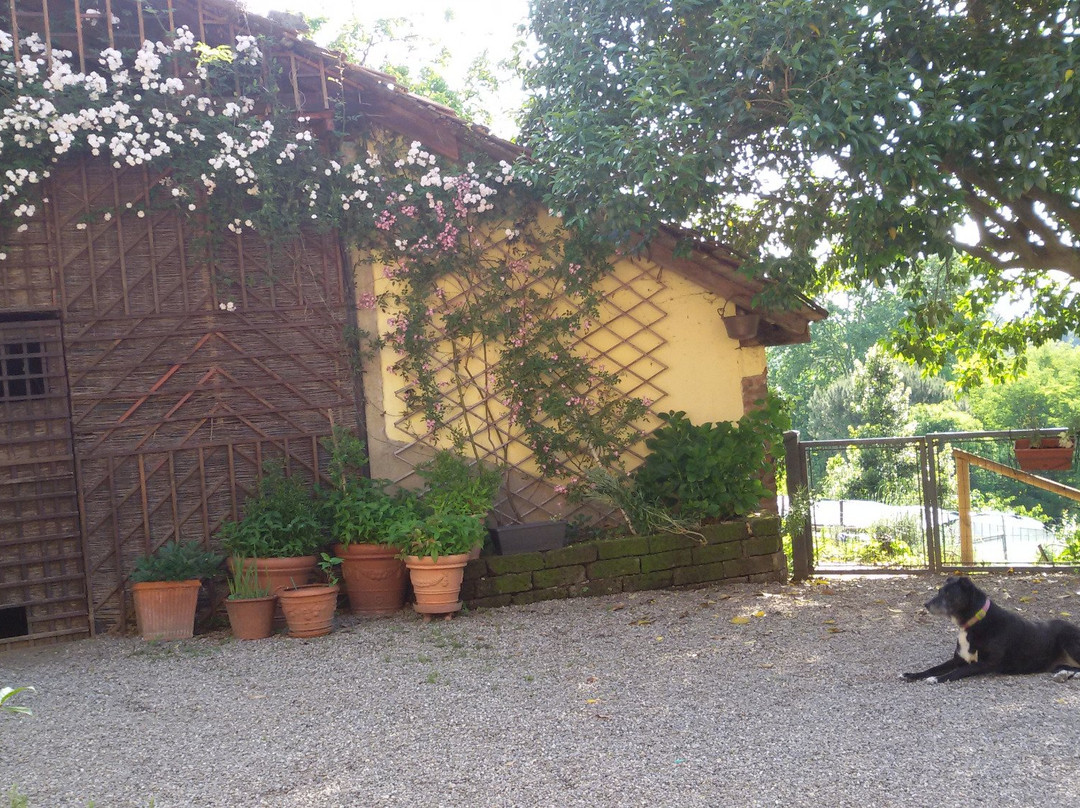 Agriturismo I Gelsi