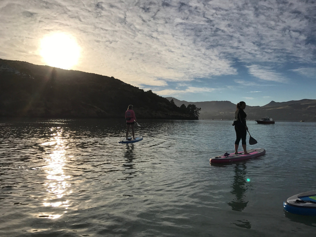 Of the Sea Stand Up Paddle Co.景点图片