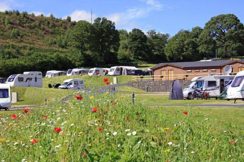 Red Kite Touring Park