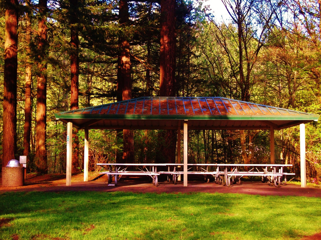 Glenn Otto Community Park-劳特代尔必去景点