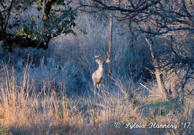 Canyon of the Eagles Nature Park-Burnet必去景点