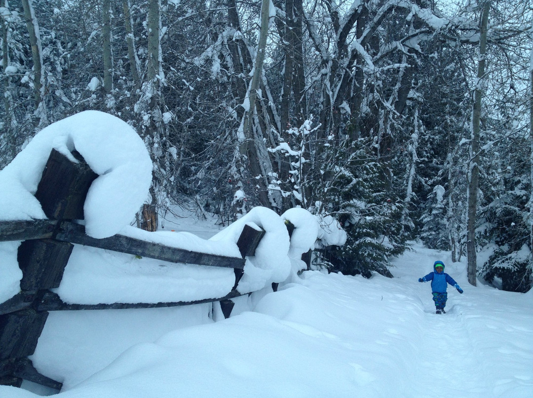 Red Barn Lodge主图