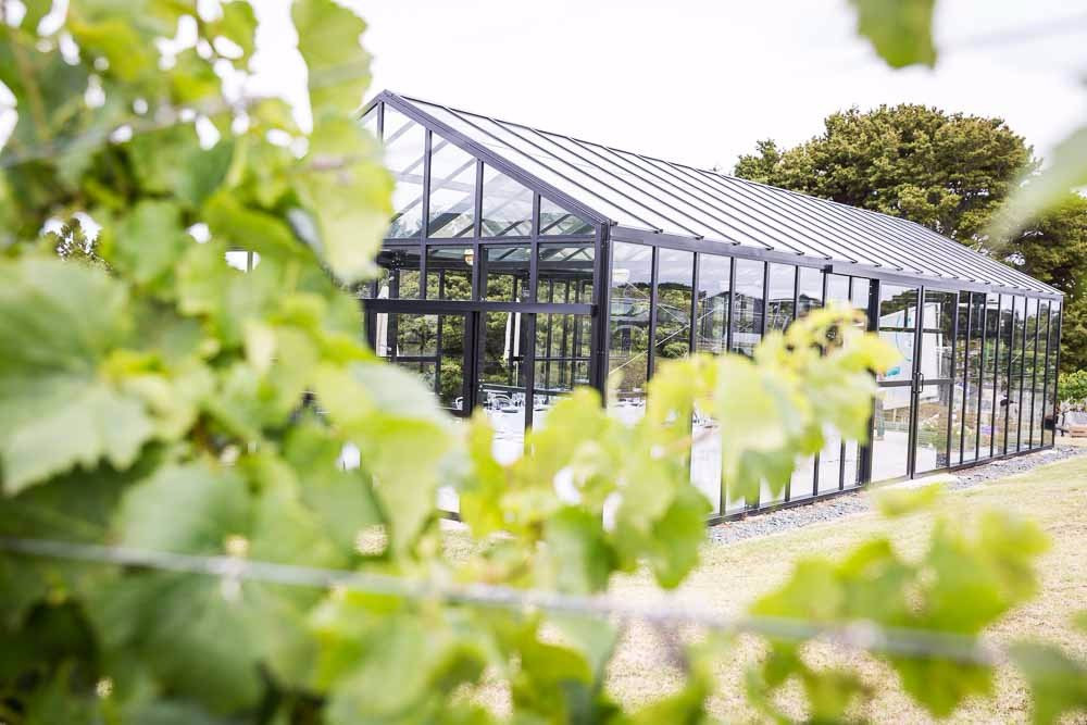 Te Whai Bay Wines景点图片