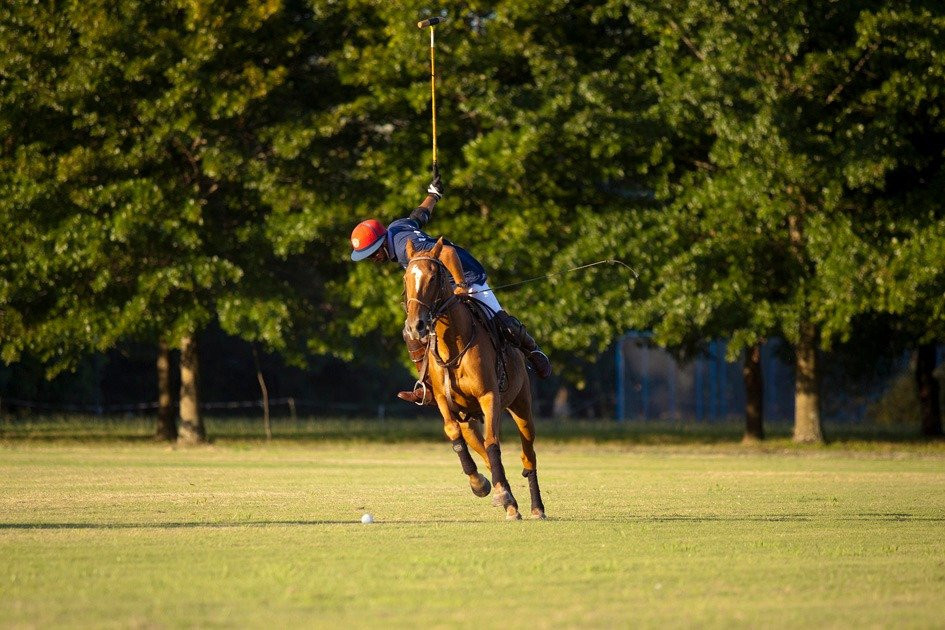 Argentina Polo Academy景点图片