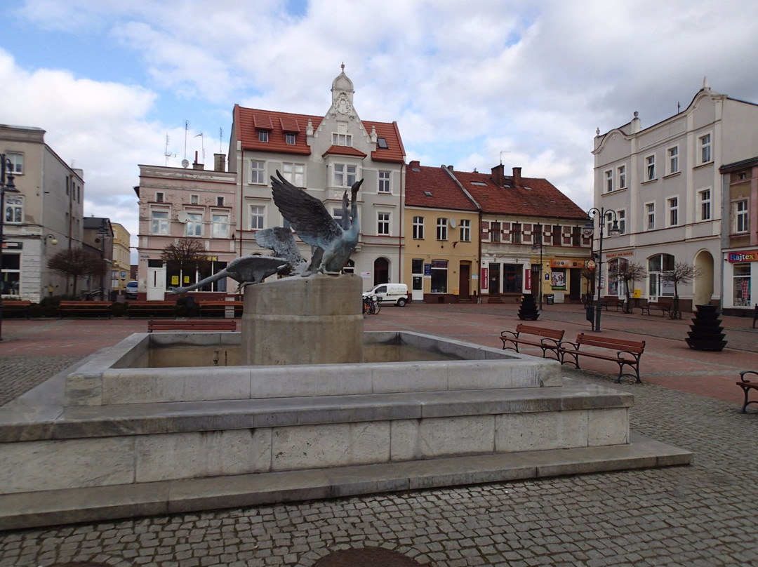 Market Square in Tuchola景点图片