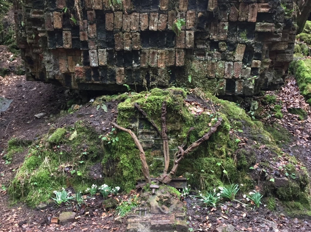 Blairadam Forest-Kelty必去景点