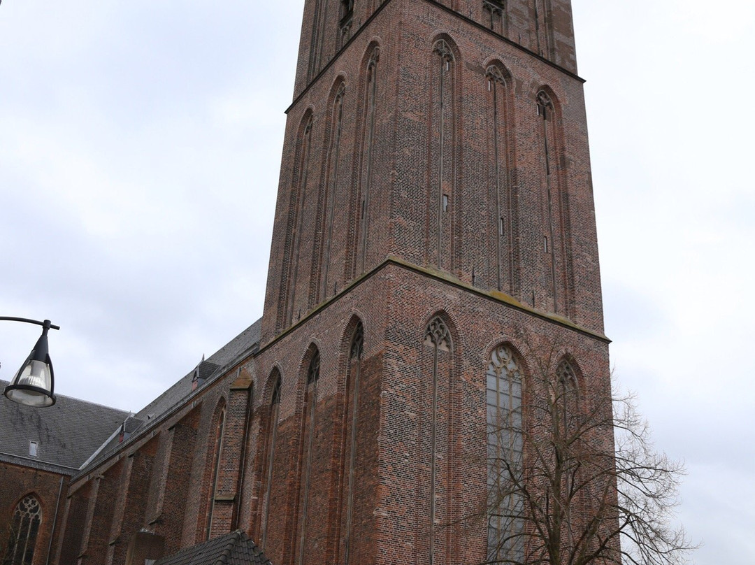 Basiliek van Onze Lieve Vrouw Ten Hemelopneming Zwolle景点图片