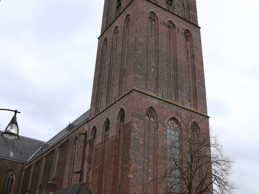 Basiliek van Onze Lieve Vrouw Ten Hemelopneming Zwolle