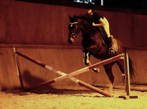 Entre Amigos Actividades Equestres-Alcacer do Sal必去景点