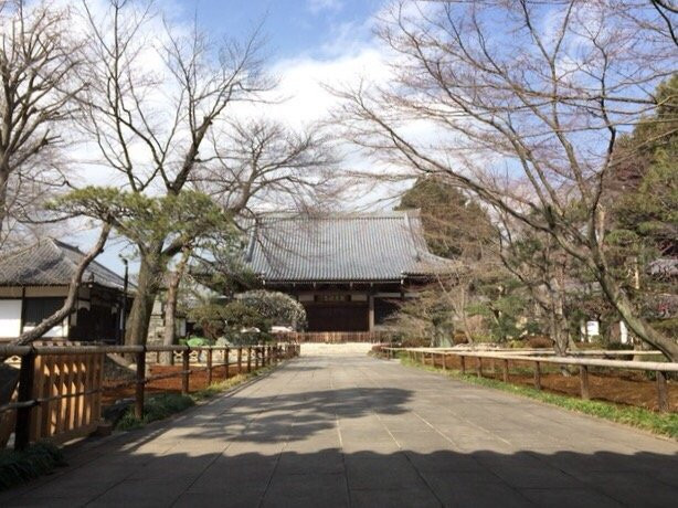 Kansen-ji Temple-杉并区必去景点